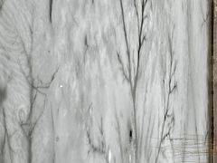 -文瀛公园