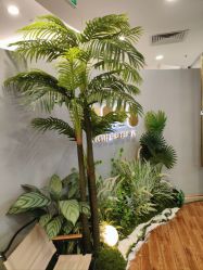-八佰伴8008星级形象店