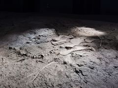 -世界恐龙谷景区