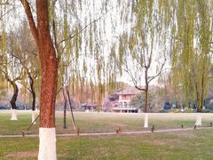 -柳浪闻莺公园