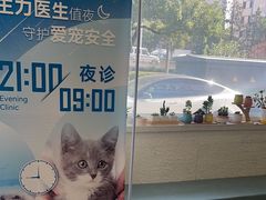 -美联众合动物医院·24h京西诊疗中心