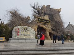 -大槐树寻根祭祖园