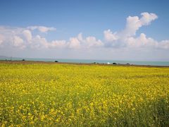 -青海湖国家重点风景名胜区