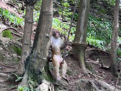 -黔灵山公园