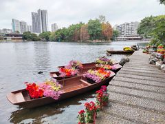 -荔湾湖公园