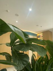 -LIHER北京丽合医疗美容医院