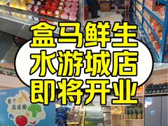 -鹏欣水游城