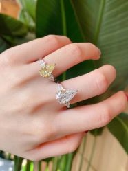 -VE DIAMOND·天然&培育钻石定制