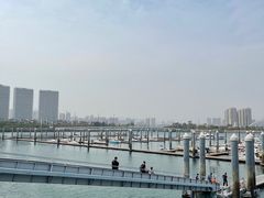 -五缘湾游艇帆船俱乐部