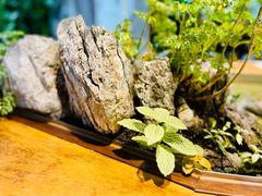 -森味薪火烧•烧鸟居酒屋•日本料理(望京店)