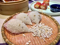 -点都德·毕德寮