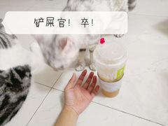 -奈雪的茶(漫广场店)