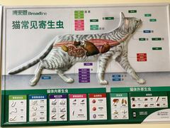 -谐和贝康宠物医院24小时·宠保定点(急重症转诊中心)