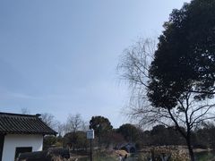 -梁鸿国家湿地公园