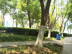 -天鹅湖体育公园