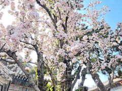 -潭柘寺景区