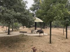 -石家庄市动物园