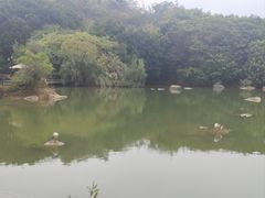 -厦门悦华酒店