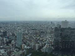 -东京都厅舍