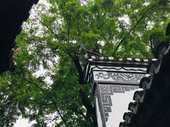 -浮庄