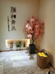 -颜和骨正·明哲式骨相美学整骨