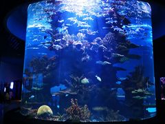 -多彩贵州城极地海洋世界