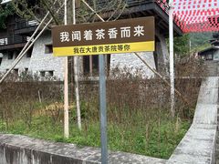 -大唐贡茶院