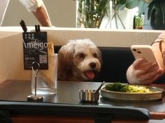 -Ameigo梅果·云贵川bistro(长宁来福士店)