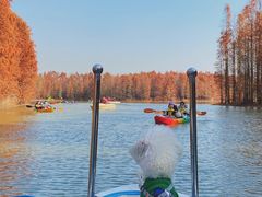 -上海海湾国家森林公园