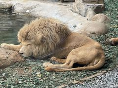 -北京野生动物园