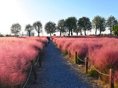 -汉长安城未央宫国家考古遗址公园