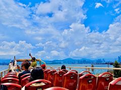 -Big Bus Tours 敞篷观光巴士