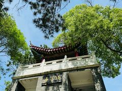 -青龙山国家森林公园