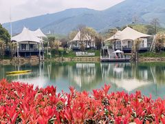 -帐篷客·溪龙茶谷度假酒店