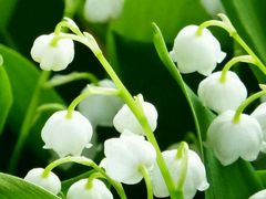 -必胜客(新福地店)