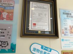 -美联众合动物医院·24h京西诊疗中心