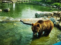 -北京野生动物园