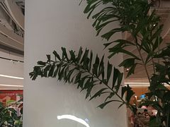 -七色云蔬食(喜邻里店)