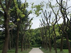 -宋庆龄陵园