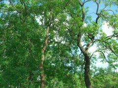 -白塘生态植物园