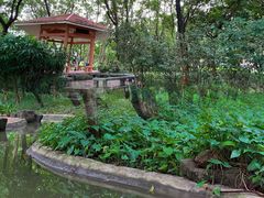 -黄埔荔枝公园