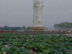 -白洋淀景区
