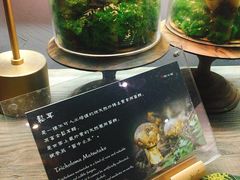 -原牛道·潮汕围炉火锅(讯美店)