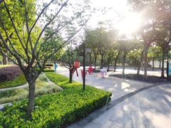 -南翔镇银翔湖公园