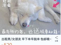 -VOYAGE COFFEE 咖啡烘焙工坊店(798艺术区店)