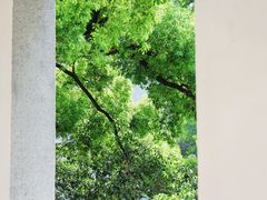 -湖北美术学院(昙华林校区)