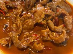 -红辣椒八爪鱼特色韩国料理