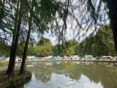 -上海共青森林公园