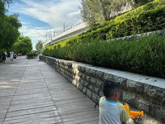 -宝安西湾红树林湿地公园