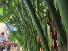 -云阿蛮云南生烫牛肉米线(奉贤路店)